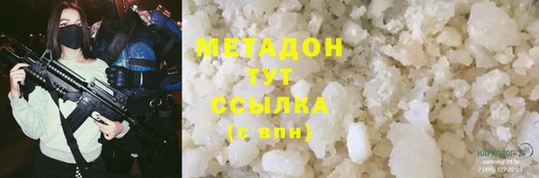 прущие грибы Армянск
