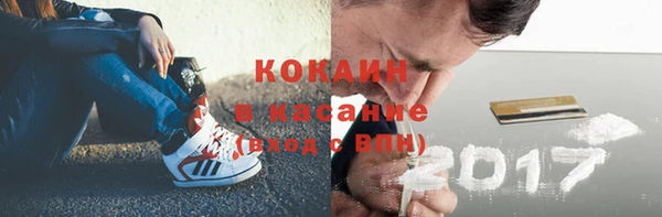 прущие грибы Армянск