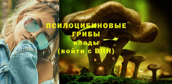 прущие грибы Армянск