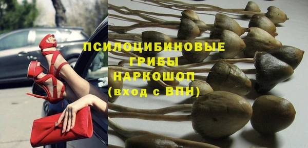 прущие грибы Армянск