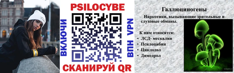 Галлюциногенные грибы Psilocybe  Полысаево 